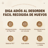 Organizador De Cocina Soporte Para Huevos De Almacenamiento